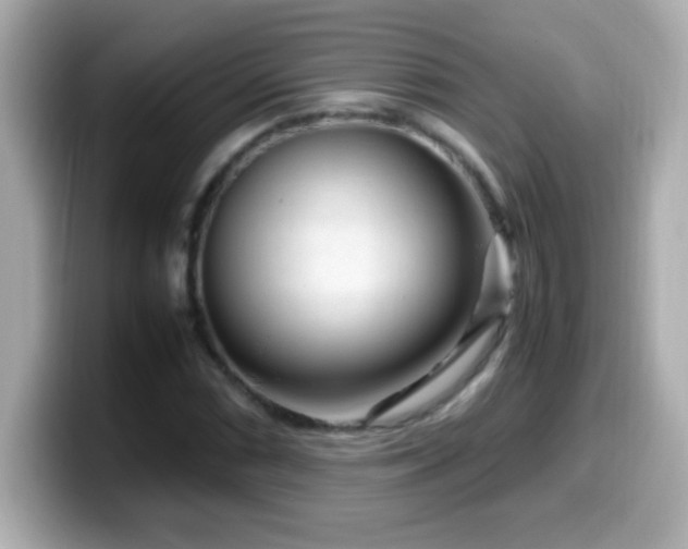 X0000099941066200805231247
