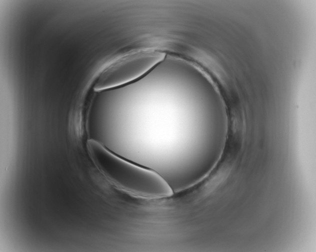 X0000099941069200805231247