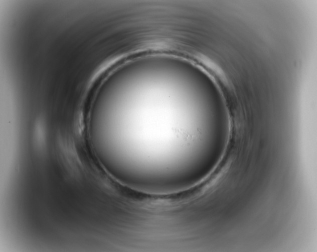 X0000099941070200805231247