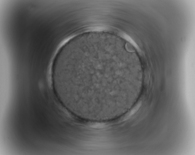 X0000099941071200805231246