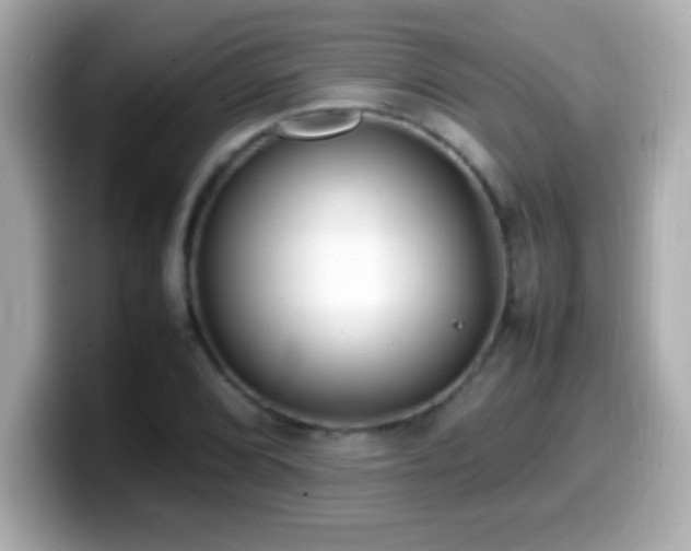 X0000099941072200805231246