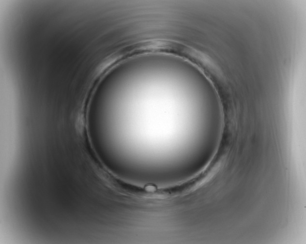 X0000099941073200805231246