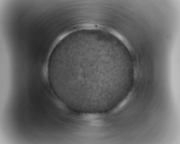 X0000099941074200805231246