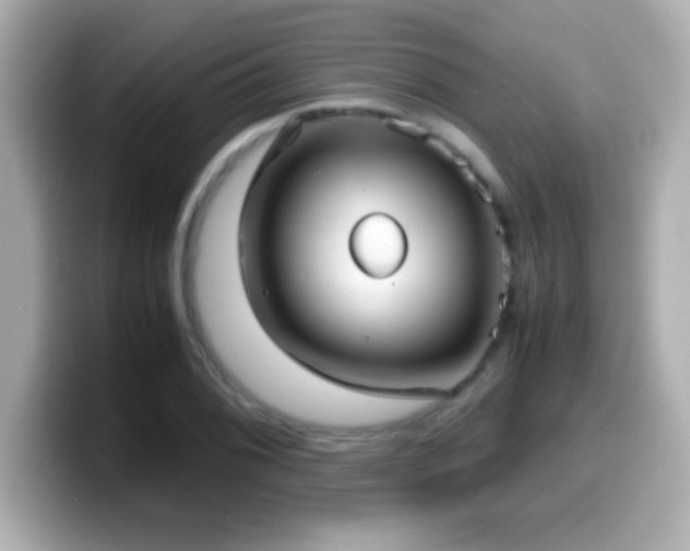 X0000099941076200805231246
