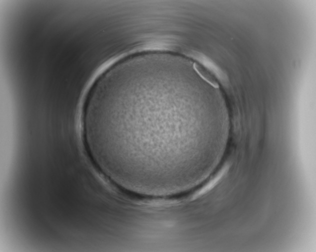 X0000099941077200805231246