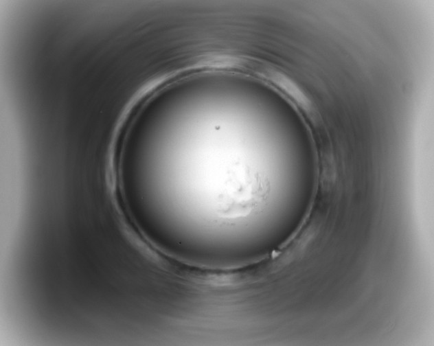 X0000099941080200805231246