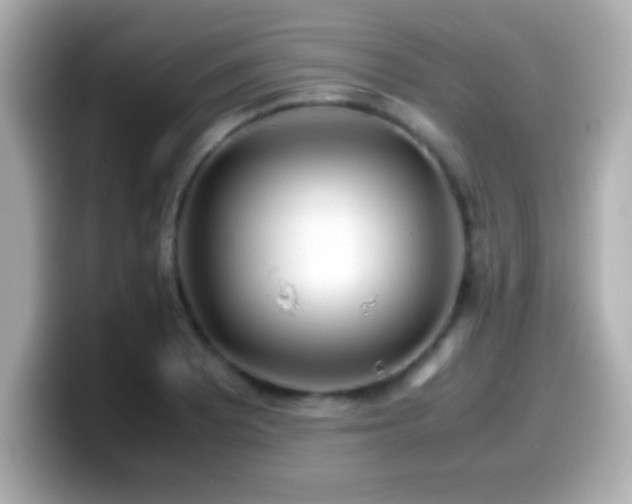 X0000099941081200805231246