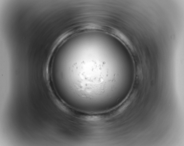 X0000099941082200805231246
