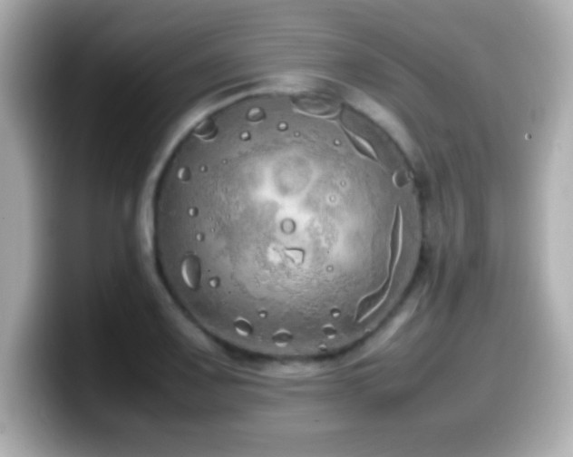 X0000099941083200805231246