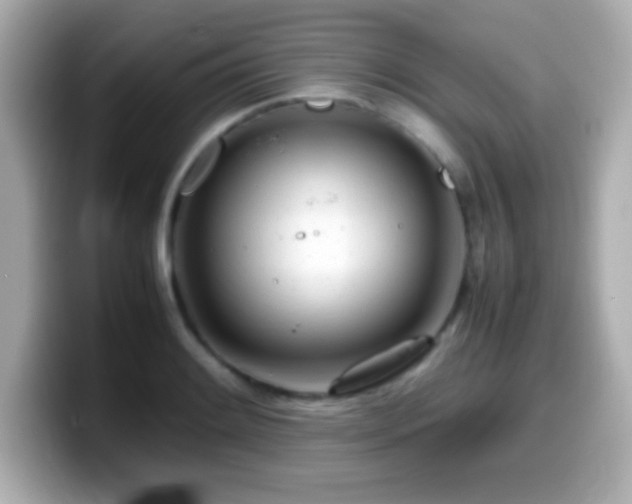 X0000099941084200805231246