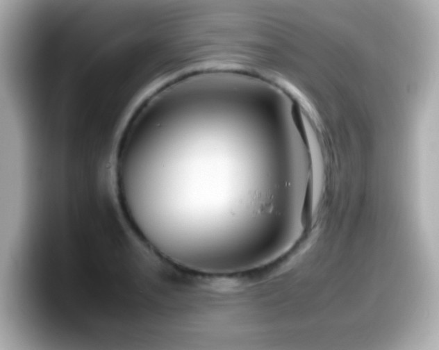 X0000099941085200805231246