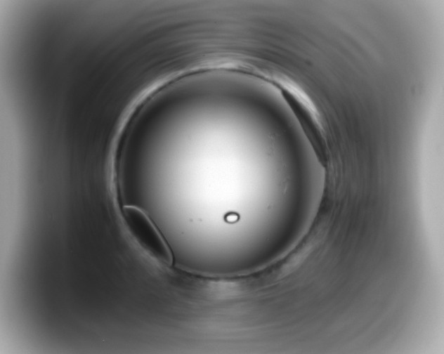 X0000099941088200805231246