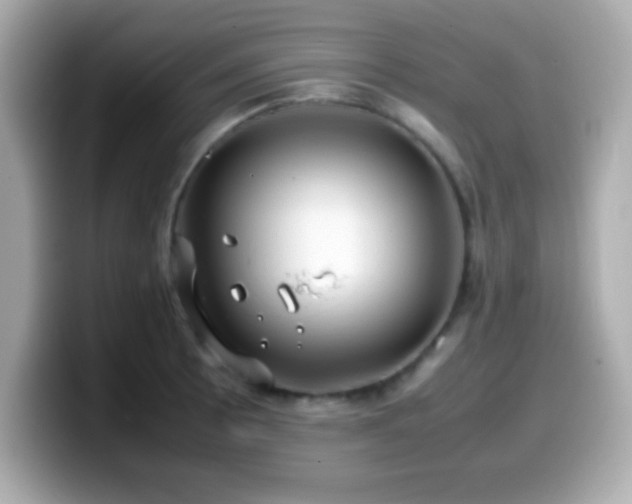 X0000099941089200805231246