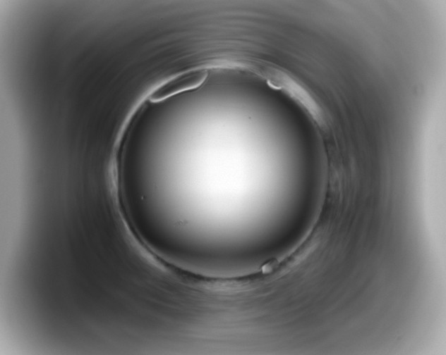 X0000099941092200805231246
