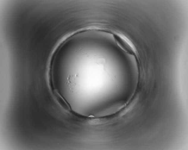 X0000099941093200805231246