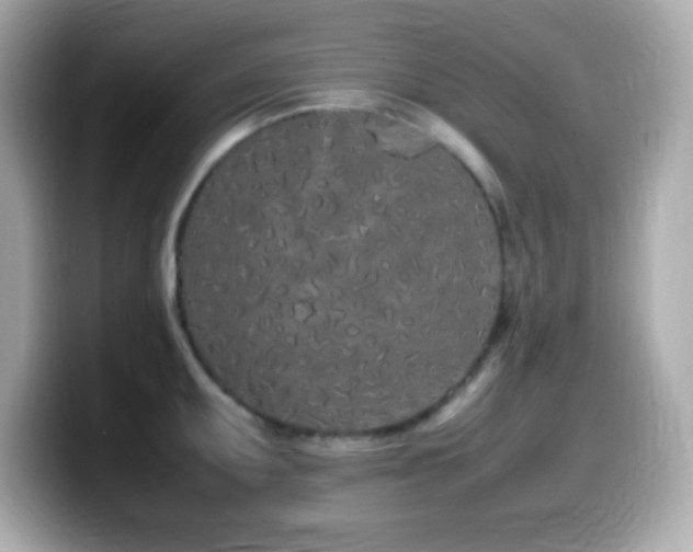 X0000099941095200805231246