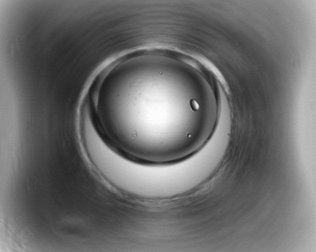X0000099941096200805231246