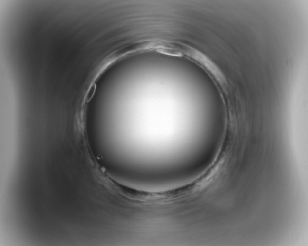 X0000099941097200805231246