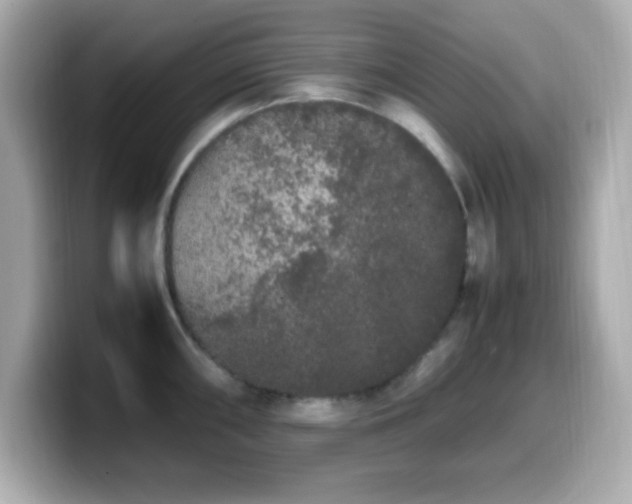 X0000099941098200805231246