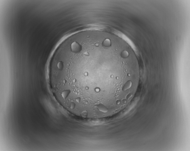 X0000099941099200805231246
