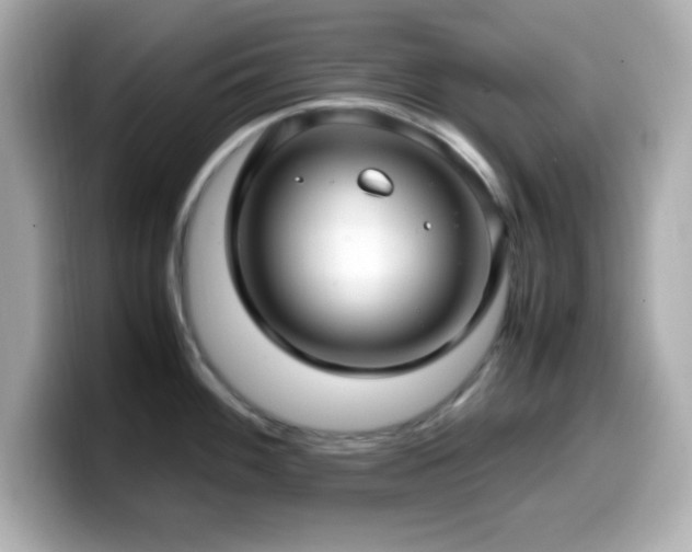 X0000099941100200805231246