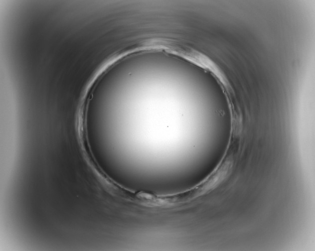 X0000099941101200805231246