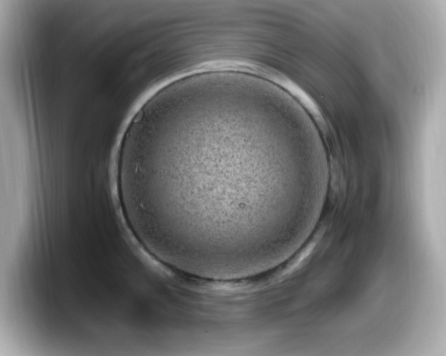X0000099941102200805231246