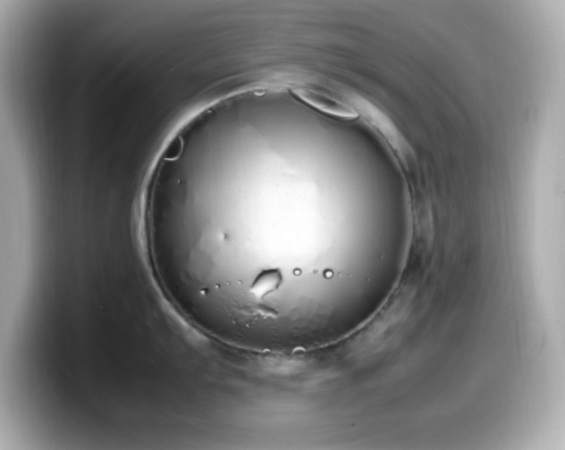 X0000099941103200805231246
