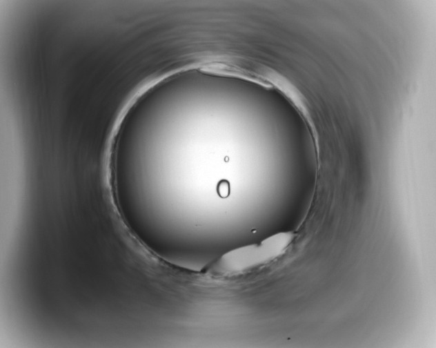 X0000099941104200805231246