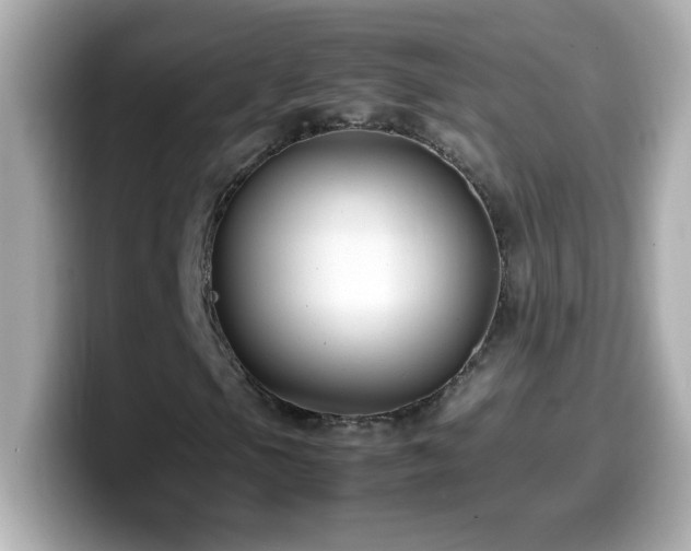 X0000099941105200805231245