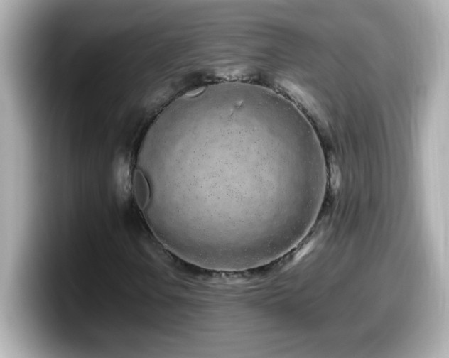 X0000099941106200805231245