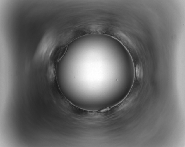 X0000099941107200805231245
