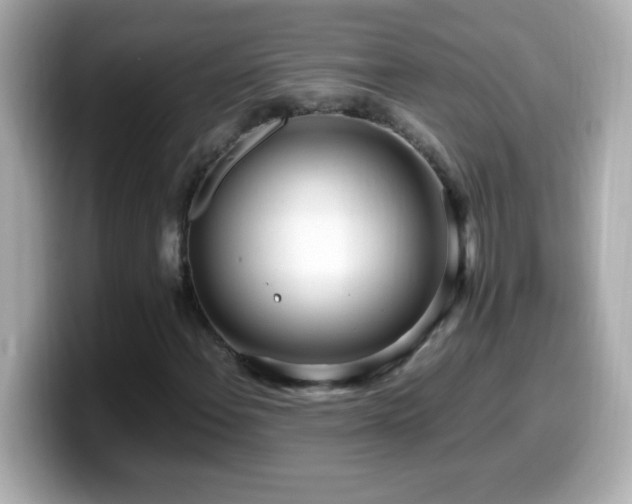 X0000099941108200805231245