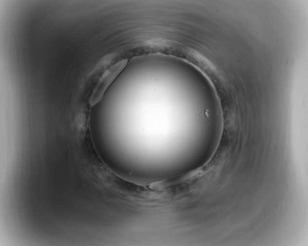 X0000099941110200805231245