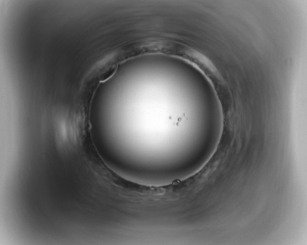 X0000099941111200805231245