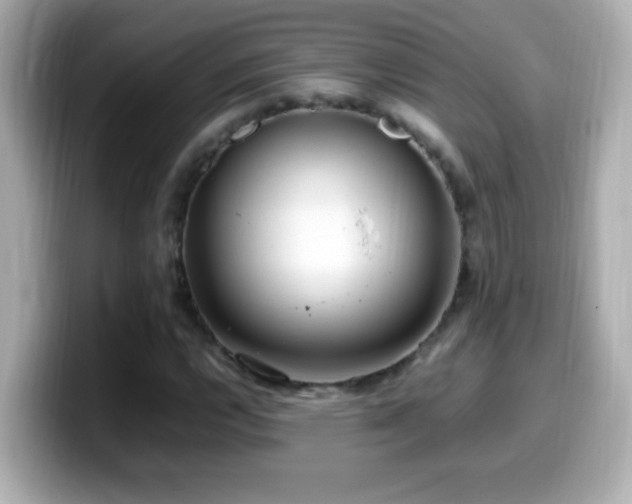 X0000099941112200805231245
