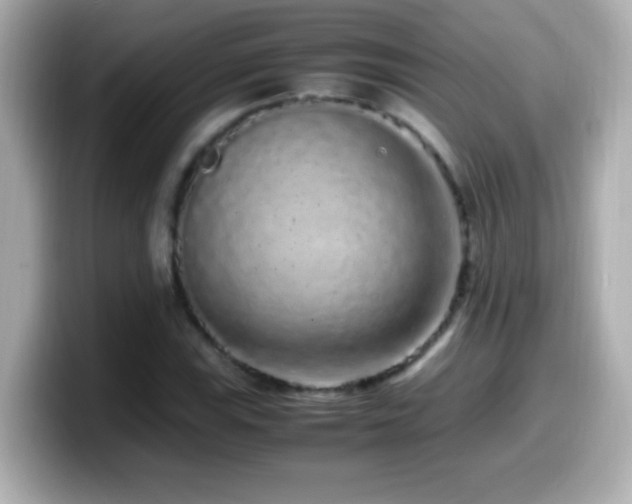 X0000099941115200805231246