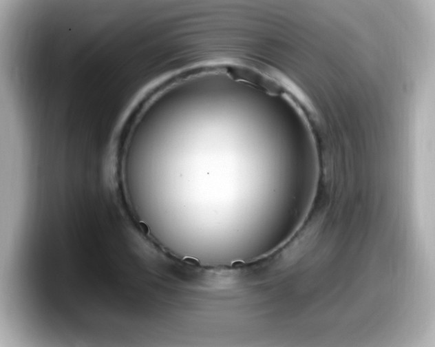 X0000099941116200805231246