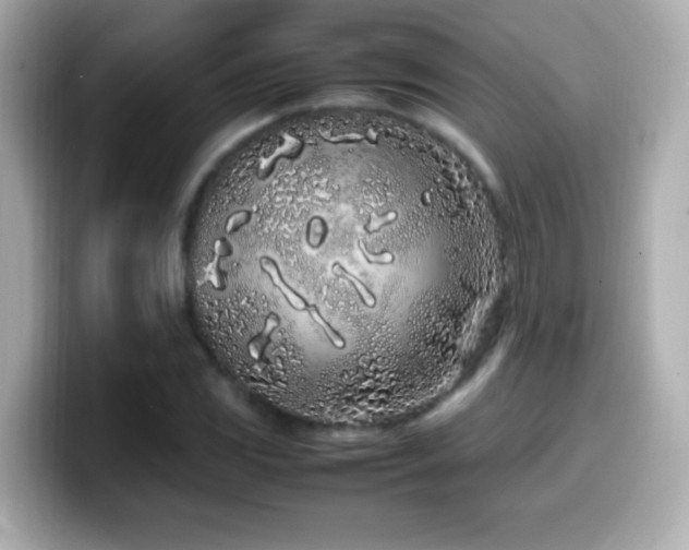 X0000099941117200805231246