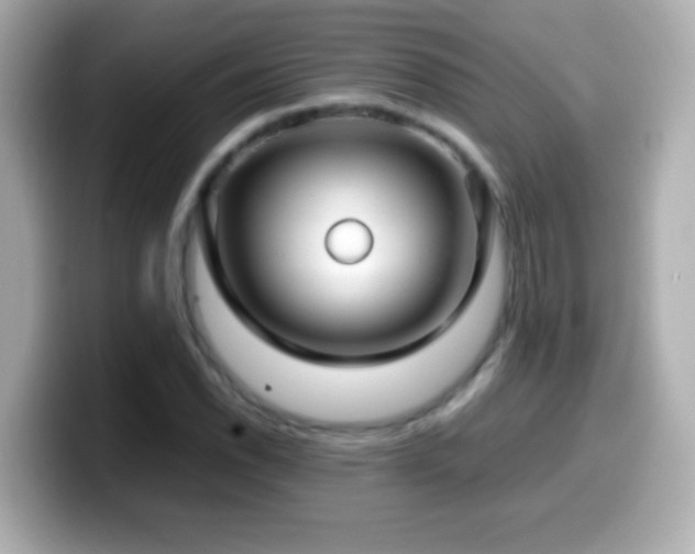 X0000099941118200805231246