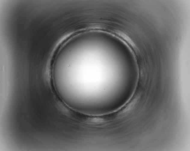X0000099941119200805231246