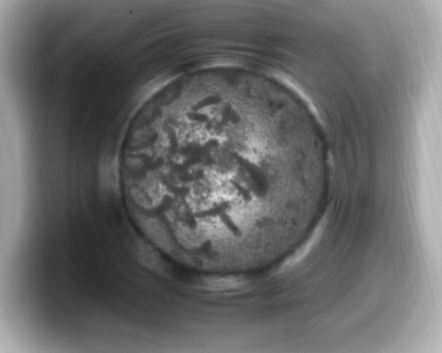 X0000099941121200805231246