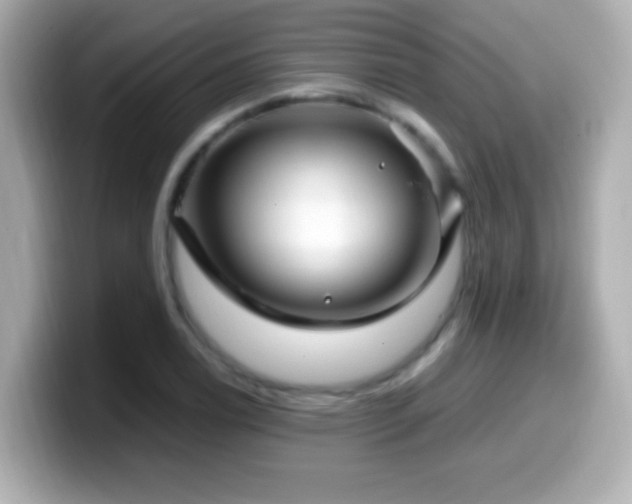 X0000099941122200805231246