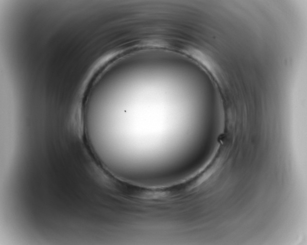 X0000099941123200805231246