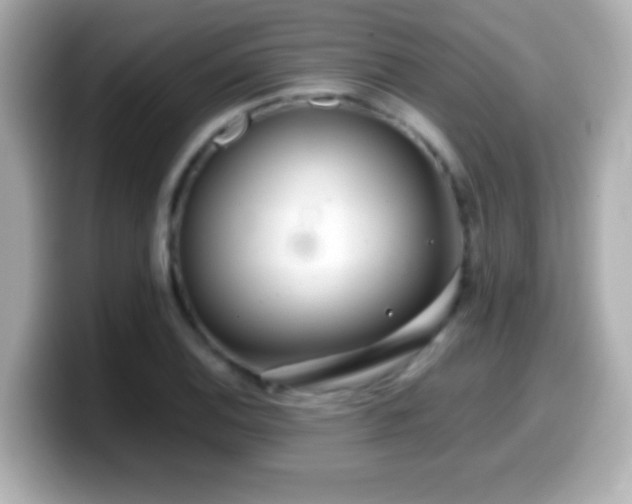 X0000099941124200805231246