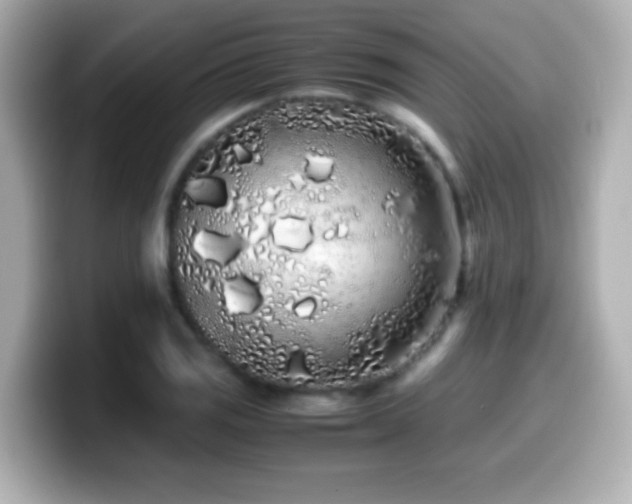 X0000099941125200805231246