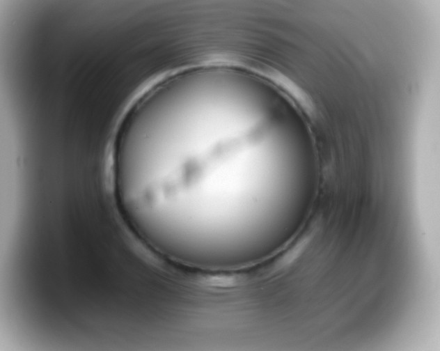 X0000099941126200805231246