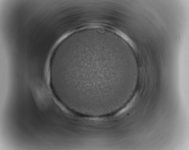 X0000099941127200805231246