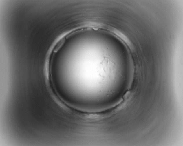 X0000099941128200805231246