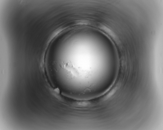 X0000099941129200805231246